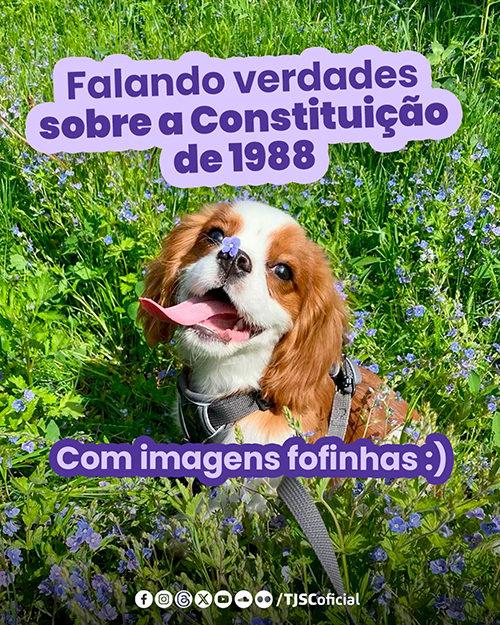 Imagem de um cachorro com a língua de fora e uma flor no focinho com o texto: Falando verdades sobre a Constituição de 1988 com imagens fofinhas.