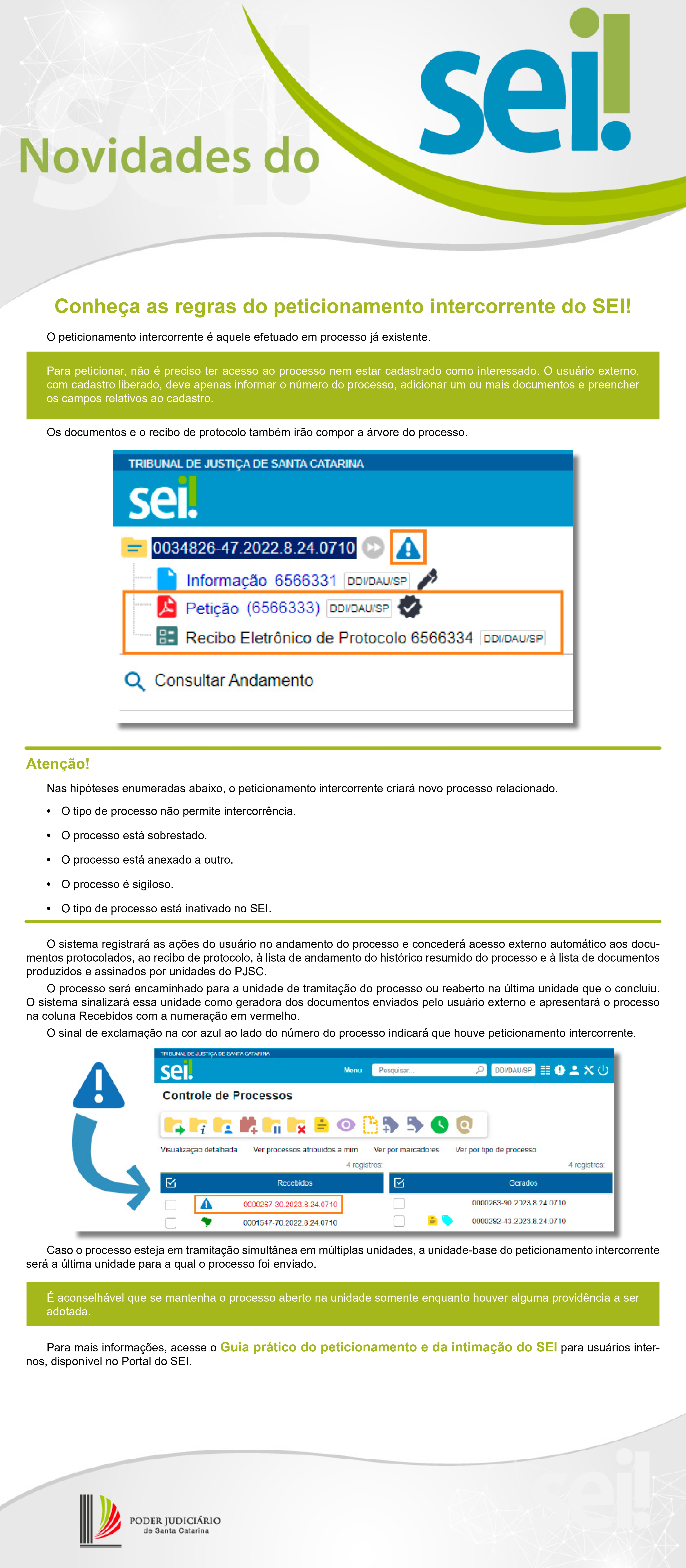 Peticionamento intercorrente do SEI