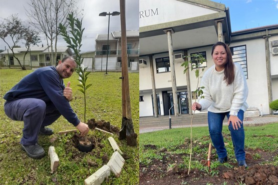 Servidores plantam árvores no pátio da comarca de Correia Pinto. 