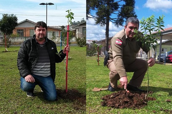 Servidores plantam árvores no pátio da comarca de Correia Pinto. 