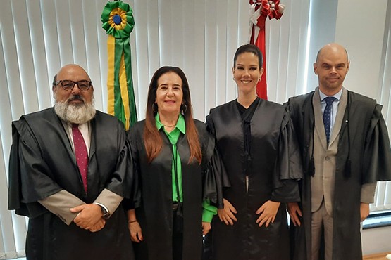 Desembargadores titulares 8ª Câmara de Direito Civil do Tribunal de Justiça de Santa Catarina