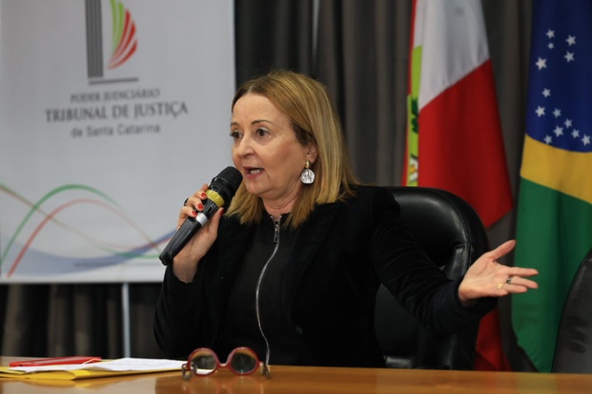 Foto horizontal: procuradora do município de Blumenau, Cleide Regina Furlani Pompermaier, fala ao microfone durante evento, com bandeiras de Santa Catarina e do Brasil ao fundo.
