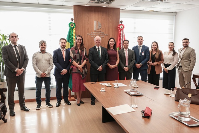 Presidente do TJSC ao centro, com um grupo posando em sala institucional, visita oficial, registrando encontro em tons madeira e verde