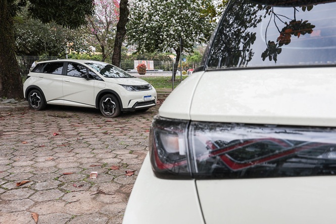 Foto horizontal: dois veículos elétricos brancos aparecem estacionados em área externa arborizada.