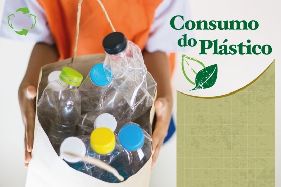 Tribunal de Justiça de Santa Catarina reduziu 25% o consumo de plástico em três anos