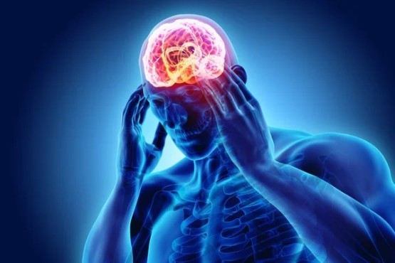Imagem ilustrativa de cérebro em destaque no corpo humano.