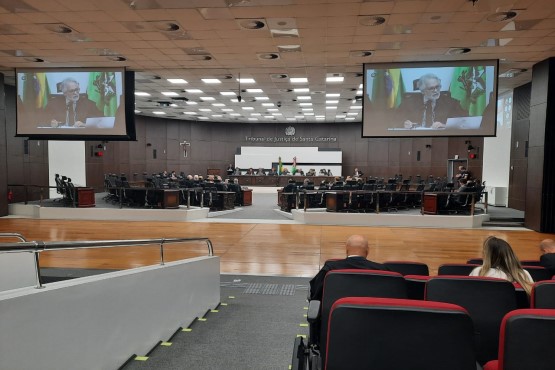Tribunal Pleno.