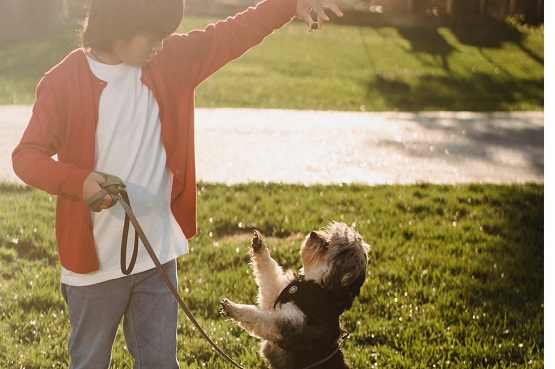 Mulher brincando com cachorro em parque.