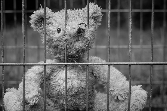 Urso de pelúcia atrás de grade.