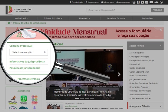 Lupa mostra como acessar o informativo.