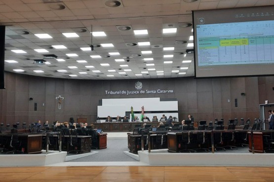 Tribunal Pleno.
