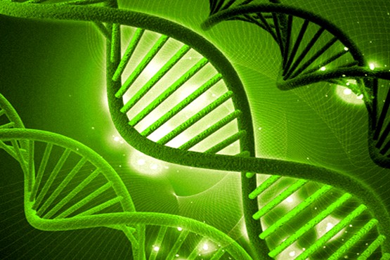 Representação de moléculas de DNA.