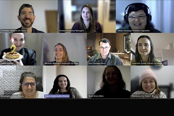 Print dos participantes da reunião virtual.