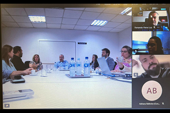 Print da reunião on-line.