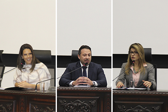 Fernanda Sell de Souto Goulart Fernandes, Zany Estael Leite Júnior e Claudia Bressan da Silva Brincas.