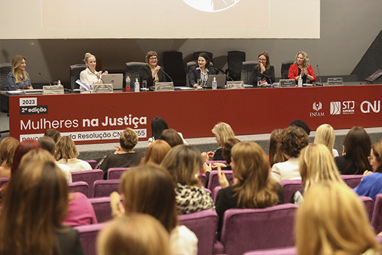 Apresentação do programa Indira.