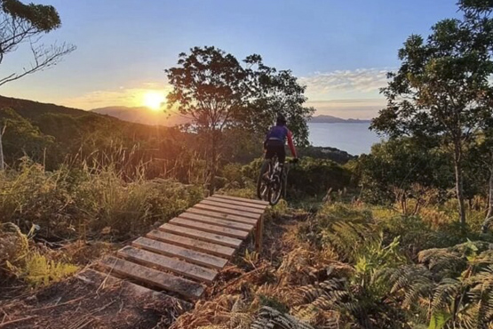 Homem de bicicleta em trilha.