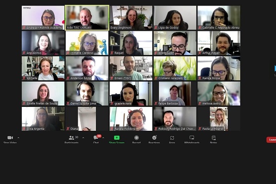 Print da reunião on-line.