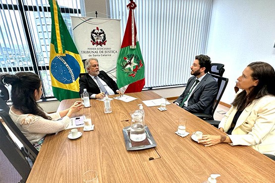 Desembargador João Henrique Blasi e representantes da Defensoria Pública do Estado.