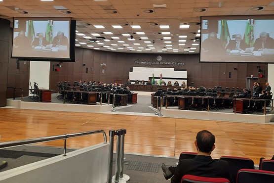 Tribunal Pleno.