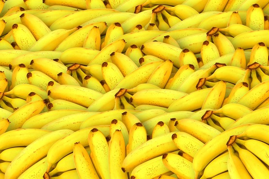 Pencas de banana.