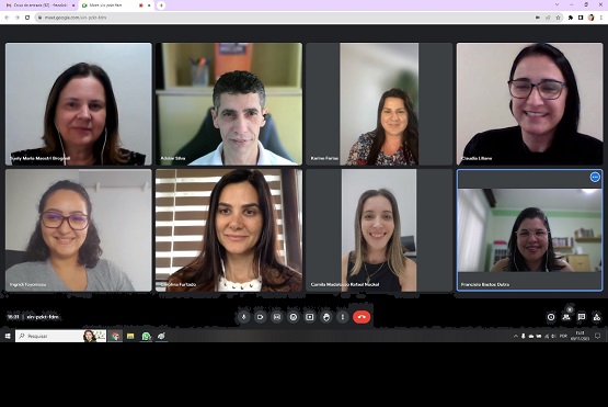 Print da reunião on-line.