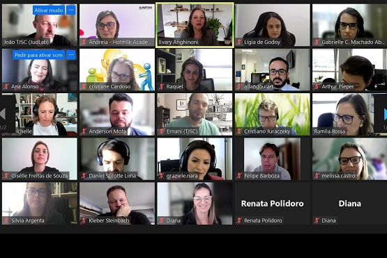 Print da reunião on-line.