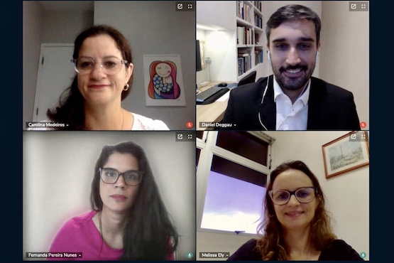 Print da reunião on-line.