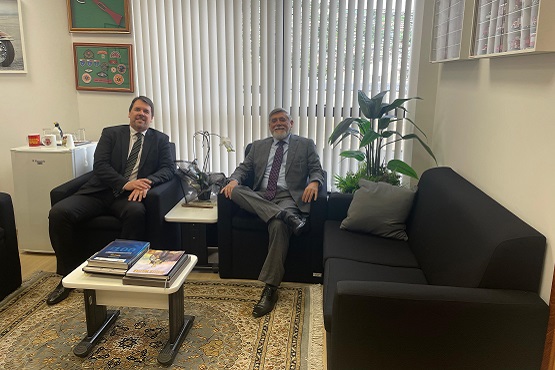 Desembargadores Luiz Antônio Zanini Fornerolli e Luiz Felipe Siegert Schuch.