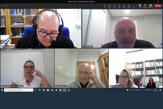 Print da reunião on-line.