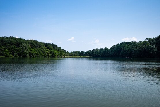 Lagoa