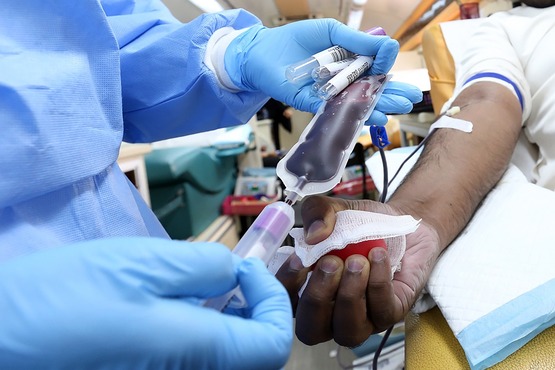 Transfusão de sangue