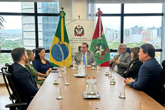 Visita institucional TJSC