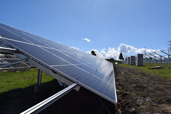 Placas solares em campo esverdeado