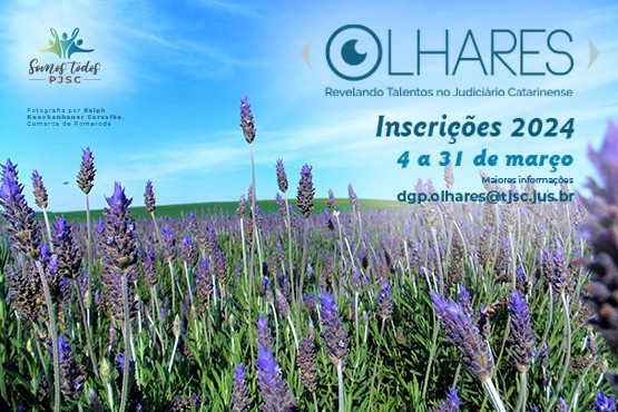 Programa Olhares