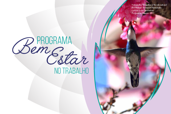 Programa Bem-Estar