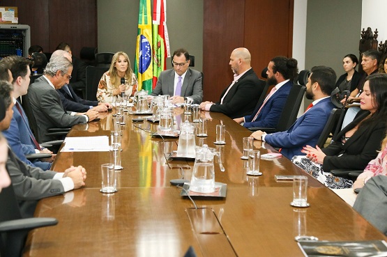 A imagem mostra uma reunião formal em uma sala de conferências. Há várias pessoas sentadas ao redor de uma mesa retangular de madeira. No centro da mesa, há garrafas de água e copos de vidro. Ao fundo, há bandeiras do Brasil e de outros estados ou instituições. As pessoas estão vestidas formalmente, com ternos e roupas sociais. Uma mulher loira, que parece estar falando, está sentada à esquerda do centro da mesa, segurando um microfone. Ao lado dela, à direita, está um homem de óculos, também em destaque.