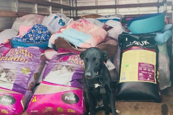 Foto de um cachorro de pelagem preta sentado na frente das doações, que são compostas por sacos de ração, cobertores e camas para bichos de estimação.