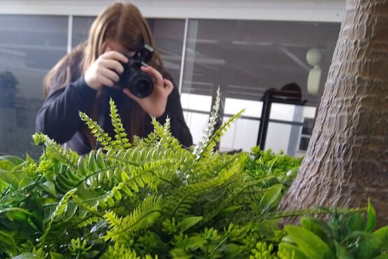 No primeiro plano da fotografia está uma planta e um tronco na lateral direita. No fundo desfocado, uma menina segura uma câmera em frente ao rosto e se prepara para tirar uma foto da natureza em sua frente.