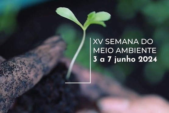 A imagem mostra uma pequena muda de planta sendo segurada por uma mão suja de terra. Ao lado da muda, há um texto que diz: "XV SEMANA DO MEIO AMBIENTE 3 a 7 junho 2024". O fundo da imagem é desfocado, destacando a planta e a mão.