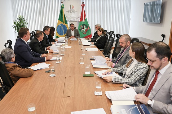 A imagem mostra uma reunião formal em uma sala de conferências. Há uma mesa longa de madeira com várias pessoas sentadas ao redor, totalizando onze pessoas. No fundo da sala, há duas bandeiras: a do Brasil à esquerda e a de Santa Catarina à direita. No centro, entre as bandeiras, há um homem de terno cinza, que parece estar presidindo a reunião. As pessoas estão vestidas formalmente, com ternos e roupas sociais, e estão concentradas em documentos e papéis à sua frente. A sala é bem iluminada, com luz natural entrando pelas janelas com persianas brancas ao fundo. Há também um monitor de TV na parede à direita.