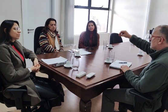 A imagem mostra quatro pessoas sentadas perto de uma quina de uma mesa de madeira em uma sala de reunião. Três mulheres estão sentadas em volta da mesa do lado esquerdo da fotografia e um homem está sentado do lado direito. A mulher mais à esquerda está usando óculos e um blazer cinza. A mulher no meio está usando um casaco listrado e um cachecol. A mulher à direita está usando um casaco marrom. O homem está usando um casaco verde e parece estar falando, com a mão levantada. Na mesa, há copos de água, xícaras de café, um jarro de água e alguns papéis. Ao fundo, há uma janela grande que deixa entrar luz natural.