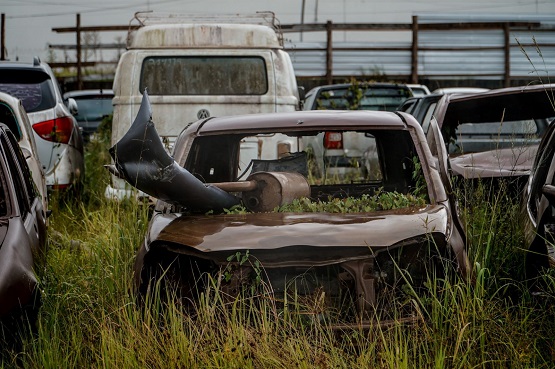 A imagem mostra um cenário de um pátio de carros abandonados ou sucateados. Em primeiro plano, um carro velho, com a carroceria bastante enferrujada e coberta de vegetação, ocupa o centro da imagem. Seu capô está amassado e o para-choque parece ter sido arrancado, sendo que há partes de plantas crescendo no interior do veículo. Ao fundo, outros carros estão igualmente abandonados, com sinais de degradação, como ferrugem e vidros quebrados. A vegetação alta e selvagem cresce ao redor e dentro dos veículos, dando uma sensação de abandono e descaso. No fundo, é possível ver uma cerca e uma van antiga, completando o ambiente desolado e desgastado pelo tempo.