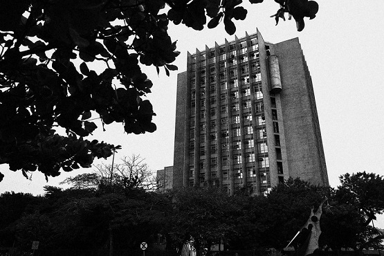 A imagem mostra um edifício alto, visto de um ângulo inclinado. O prédio tem várias janelas distribuídas em muitos andares. Na parte superior da imagem, há silhuetas de folhas de árvores, sugerindo que a foto foi tirada de um local com vegetação ao redor. A imagem está em preto e branco, o que pode dar um aspecto mais antigo ou artístico à fotografia.
