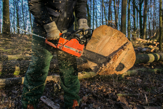 A imagem mostra um lenhador usando uma motosserra para cortar um tronco de árvore em um ambiente florestal. Ele está usando equipamento de proteção, incluindo calças e botas verdes, e luvas pretas. As lascas de madeira estão voando pelo ar devido ao corte, capturando a ação e o movimento da cena. A floresta ao fundo é iluminada pelo sol, o que sugere que a foto foi tirada em um dia claro.