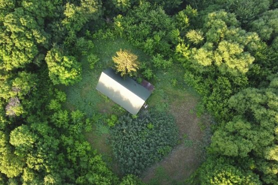 A imagem mostra uma vista aérea de uma pequena casa ou cabana localizada no meio de uma área densamente arborizada. A construção tem um telhado inclinado e parece estar cercada por uma clareira circular, onde a vegetação é menos densa. Ao redor da clareira, há uma abundância de árvores verdes, formando um anel natural ao redor da estrutura. A luz do sol ilumina parte do telhado e da clareira, sugerindo que a foto foi tirada durante o dia.