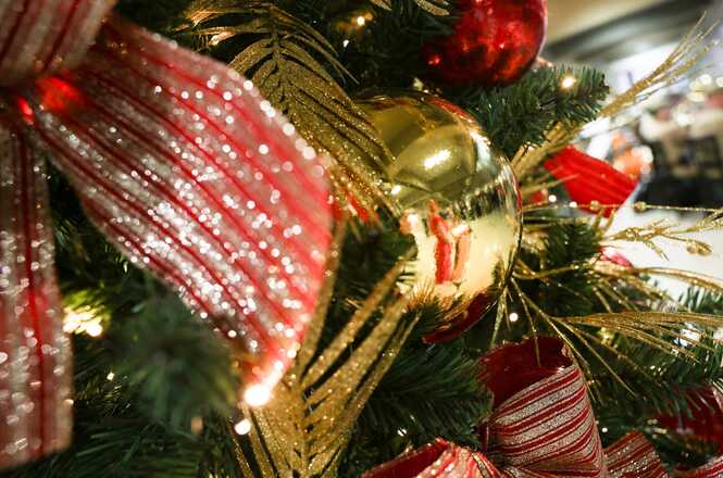 A imagem mostra uma árvore de Natal decorada com enfeites festivos. Há fitas largas vermelhas com listras douradas brilhantes, bolas douradas e vermelhas, e ramos dourados que se destacam entre os galhos verdes da árvore. As luzes de Natal piscam suavemente, iluminando os enfeites e criando um ambiente acolhedor e festivo. A decoração é rica em detalhes e cores tradicionais de Natal, como vermelho, dourado e verde.