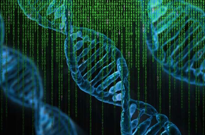 A imagem mostra uma representação artística de fitas de DNA azuis sobre um fundo preto. No fundo, há uma sequência de caracteres verdes que lembram o estilo do código do filme "Matrix", com letras e números dispostos em colunas verticais. As fitas de DNA parecem flutuar sobre esse fundo de código, criando uma fusão visual entre biologia e tecnologia.