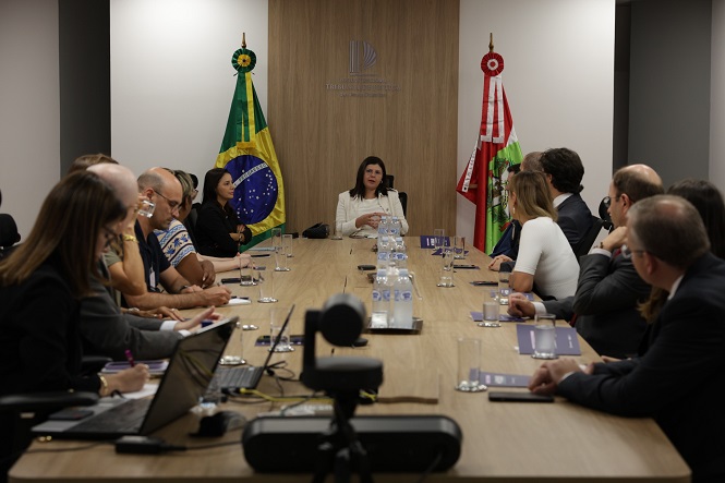 Sala de reunião com uma mesa retangular de madeira, onde várias pessoas estão sentadas em ambos os lados, participando de uma reunião. No centro da mesa, há garrafas de água e copos. Ao fundo, uma mulher está sentada na cabeceira da mesa, falando para o grupo. Atrás dela, há duas bandeiras: a do Brasil e outra que parece ser de um estado ou município. Na parede, há um logotipo e o nome "Tribunal de Contas do Estado de Santa Catarina". As pessoas na reunião estão vestidas formalmente, algumas fazendo anotações em cadernos ou usando laptops.