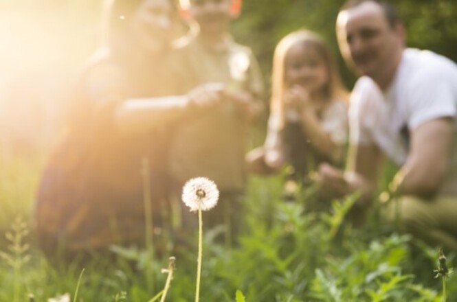 A imagem mostra uma cena ao ar livre com quatro pessoas desfocadas ao fundo, possivelmente uma família. Em destaque na frente, há um dente-de-leão em foco, e a luz do sol ilumina a cena, criando um efeito suave e caloroso. A vegetação ao redor é verde e parece ser um dia ensolarado.